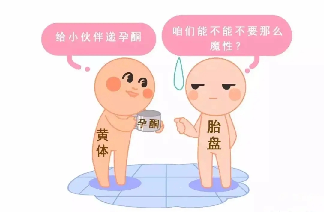 HCG和孕酮低一定會流產(chǎn)？備孕女性必須知道的孕早期“秘密”