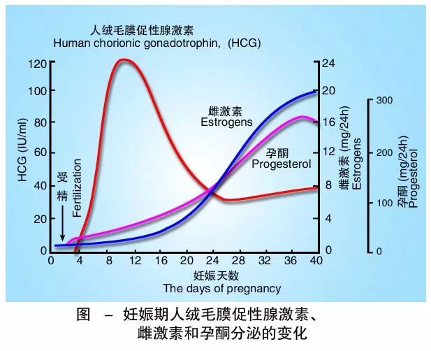 懷孕期間HCG低怎么辦？