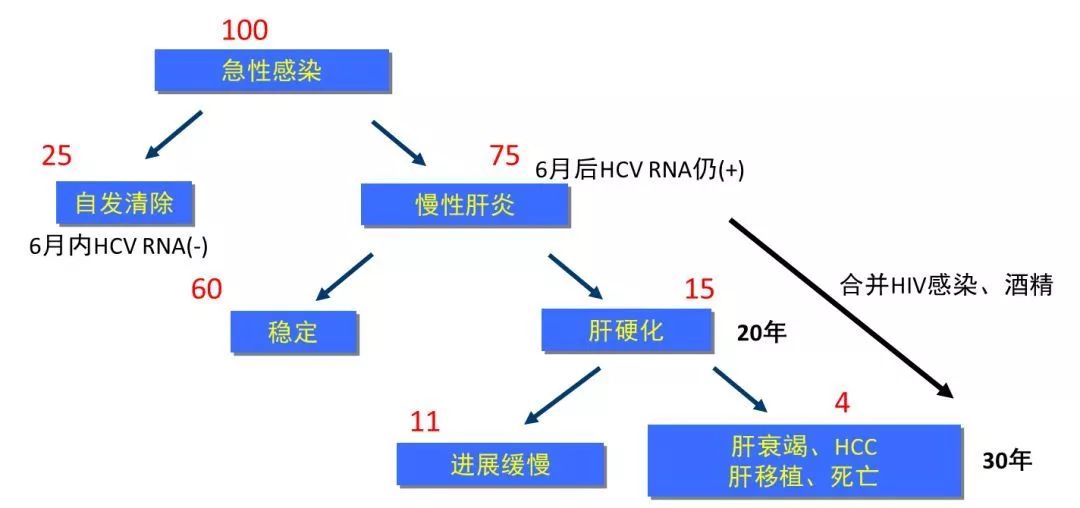 丙肝檢測(cè)的弱陽(yáng)性究竟是不是感染了丙肝？